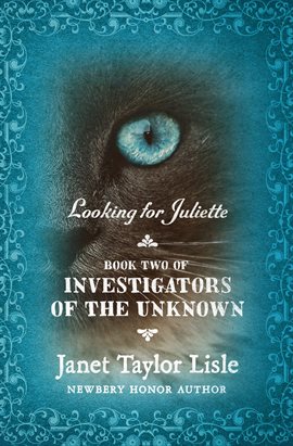 Cover image for Looking for Juliette