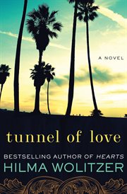 Tunnel of love a novel cover image