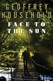 Face to the Sun cover image