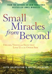 Small miracles from beyond : dreams, visions and signs that link us to the other side cover image