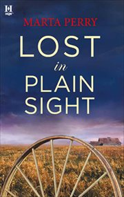 Lost in Plain Sight cover image