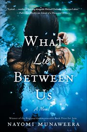 What Lies Between Us : A Novel cover image
