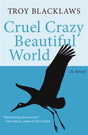 Cruel crazy beautiful world : a novel cover image