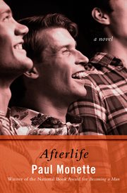 Afterlife: a novel cover image