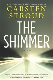 The Shimmer : A Novel cover image