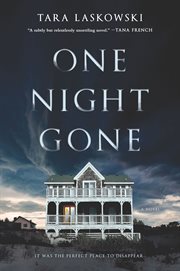 One night gone : A Novel cover image