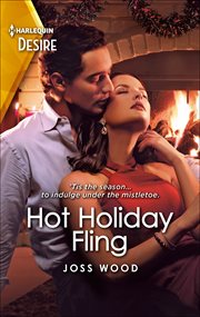 Hot Holiday Fling cover image