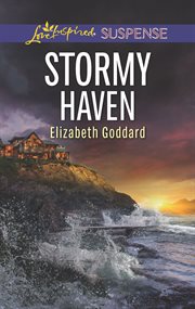 Stormy haven cover image