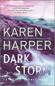 Dark Storm : South Shores cover image
