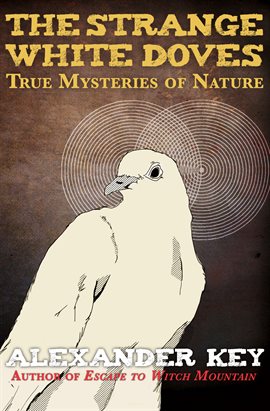 Cover image for The Strange White Doves