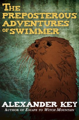 Cover image for The Preposterous Adventures of Swimmer