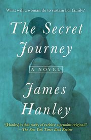 The secret journey cover image