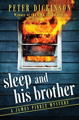 Cover image for Sleep and His Brother