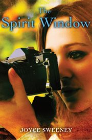 The spirit window cover image