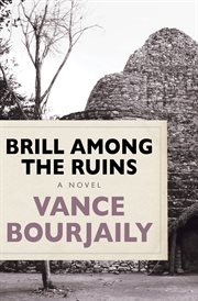 Brill among the ruins: a novel cover image