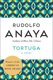 Tortuga a novel cover image
