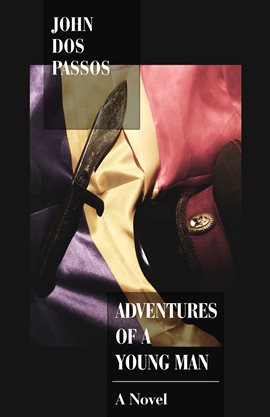 Cover image for Adventures of a Young Man