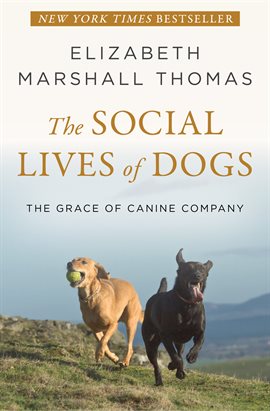 Cover image for The Social Lives of Dogs