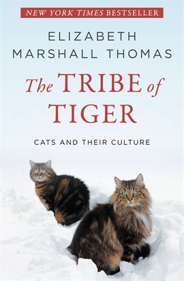 Cover image for The Tribe of Tiger