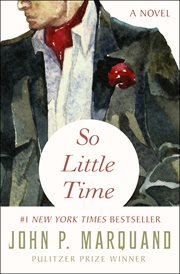 So Little Time : a Novel cover image
