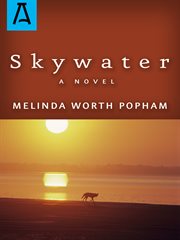 Skywater cover image