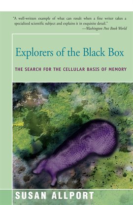 Umschlagbild für Explorers of the Black Box