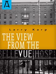 The view from the Vue cover image