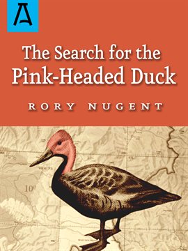 Cover image for The Search for the Pink-Headed Duck