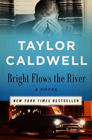 Bright flows the river : a novel cover image