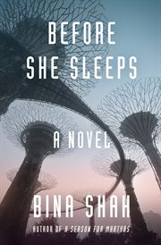 Before she sleeps : a novel cover image
