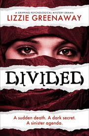 Divided. A Gripping Psychological Mystery Drama cover image