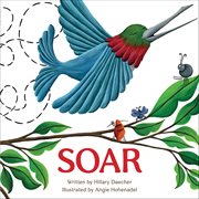 Soar cover image