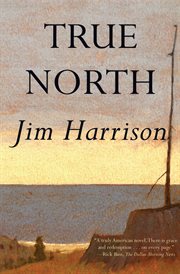True north : a novel cover image