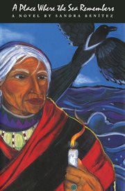 A place where the sea remembers : a novel cover image