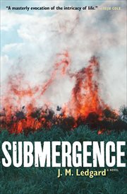 Submergence : a novel cover image