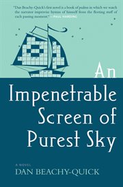 An impenetrable screen of purest sky : a novel cover image