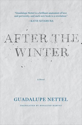 Cover image for After the Winter