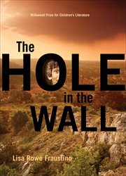 The Hole in the Wall cover image