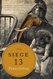 Siege 13 : stories cover image