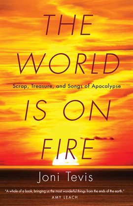 Cover image for The World Is on Fire
