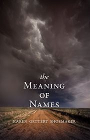 The meaning of names : a novel cover image