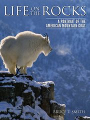 Life on the rocks : a portrait of the American mountain goat cover image