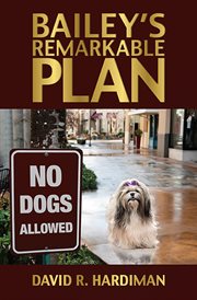 Bailey's remarkable plan cover image