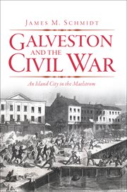 Galveston and the Civil War : an island city in the maelstrom cover image