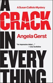 A Crack in Everything : Susan Callisto Mystery cover image