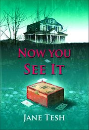 Now You See It : Grace Street Mystery cover image
