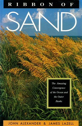 Cover image for Ribbon of Sand