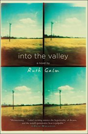 Into the valley cover image