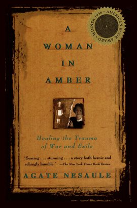 Cover image for A Woman in Amber
