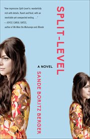 Split-Level cover image